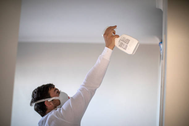 Best Mold Remediation  in New Lno, LA