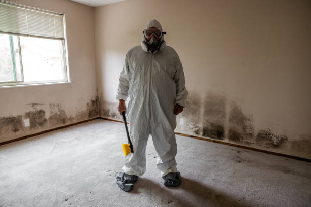 Best Best Mold Removal Companies  in New Lno, LA